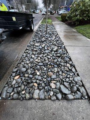 Curb appeal added with some 3"-6" river rock a new maple tree and some root guards to keep the sidewalk intact as the tree grows!