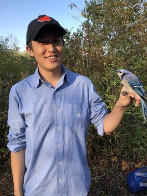 Biology 0302 (Vertebrate Natural History) lets us band birds. This is a blue jay!