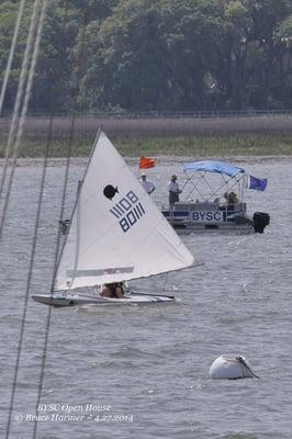 Small sailfish fleet today.