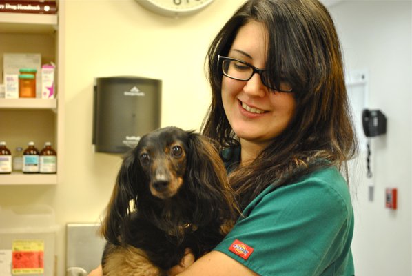 Veterinary Assistant Jessica and her dog Reggae preparing for a dental prophy.