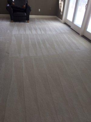 Carpet steam cleaning