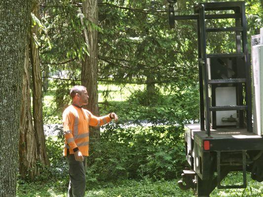 Jared guiding in the bucket truck perfectly between existing trees and gardens.