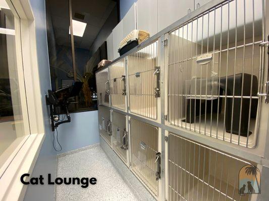 Pictured: cat lounge with multiple spacious kennels, a large window with a privacy screen, and an examination table (not pictured).