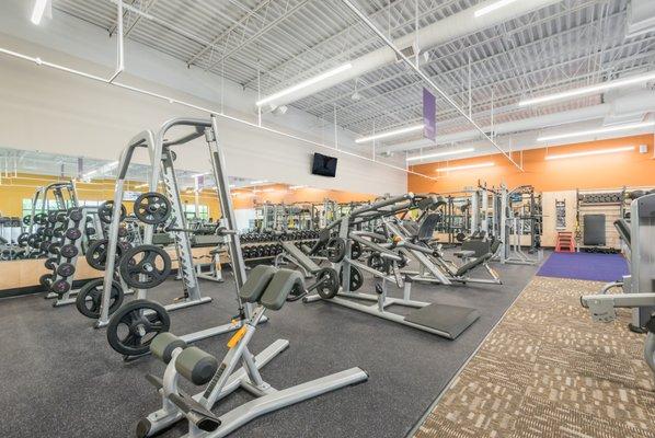 Fully featured free weight area with a variety of racks and cable systems!