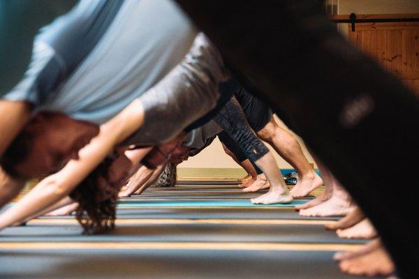 Group classes in many different styles of yoga.