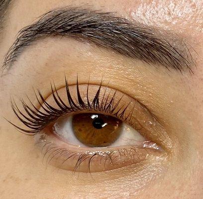 Lash lift