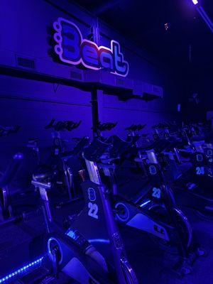 Cycle Studio