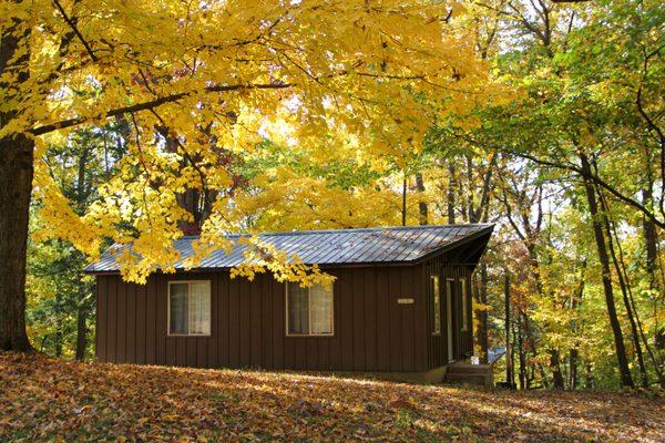 Cabin in the Fall