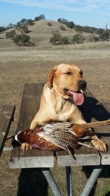 Jake's first birds. What a great day