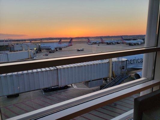 View of the tarmac in the morning