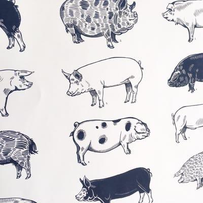 We can print pigs