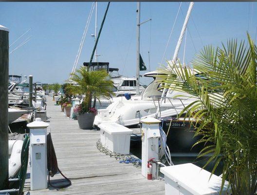 Nantucket Community Sailing