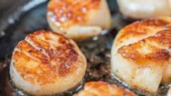 Scallops