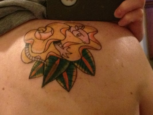 Just got this done, completely covers up what was underneath.