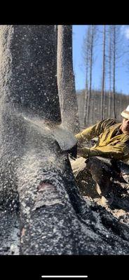 Wildfire Cleanup.