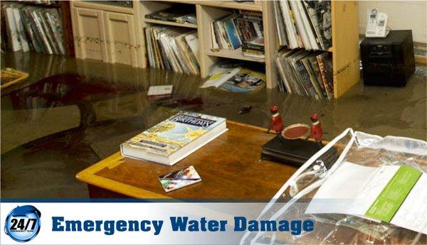 Best Water Damage Repair Experts Anthem Henderson Flood Damage & Restoration