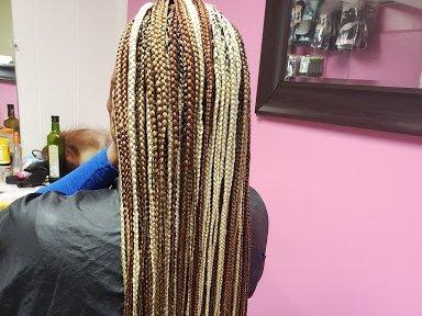 Long Braids with Highlights