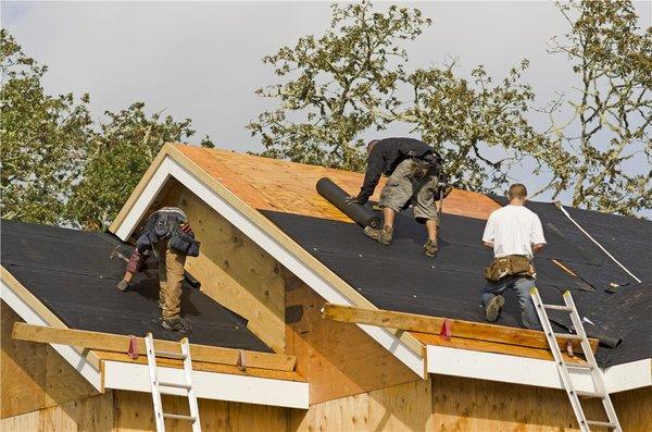 Israel Trevino Roof and Home Repair