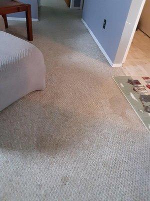 Carpet Cleaning!!!