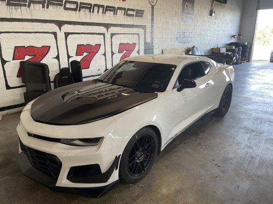 ZL1 1LE sitting pretty.