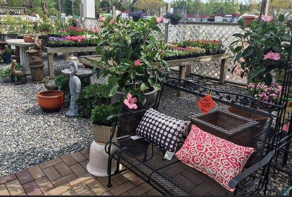 Our garden center is open year round with a variety of plants.