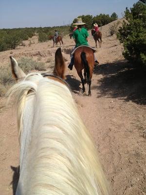 Out on the trail, you might be lucky and see some mustangs!