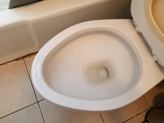 Toilet after cleaning  DeepCleaningMA.com