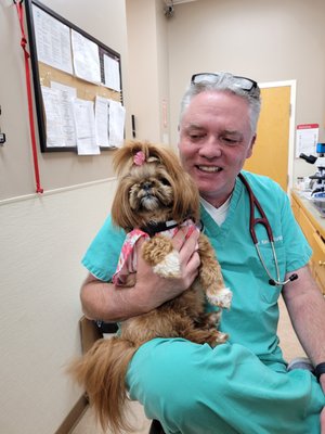 Animal Medical Clinic At West Town Place