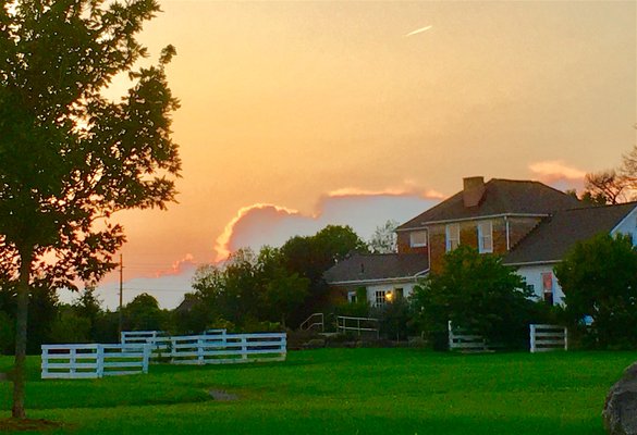 View from the community garden last night in backyard of the homestead which is on 32 acres of the original of the farm land