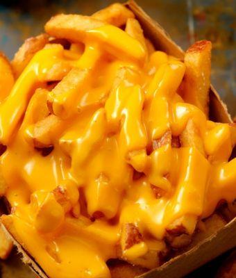 Cheese fries