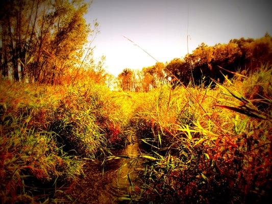 Upper Sugar River Watershed Association