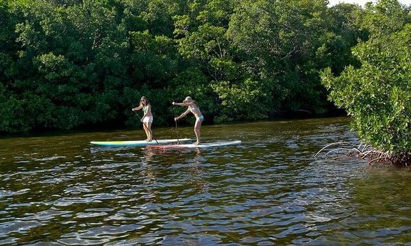 Paddling around the beautiful mangroves at Matheson Hammock Park. Shallow waters, warm, good pace.