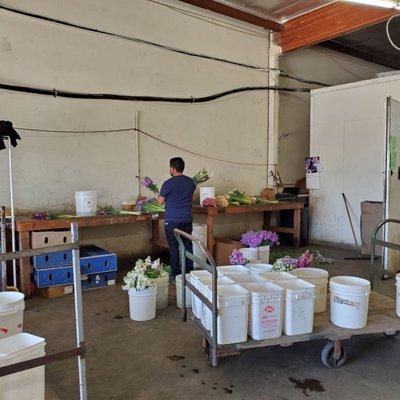 Employee working on the flowers