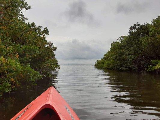 In Mullet Creek, entering Tampa Bay