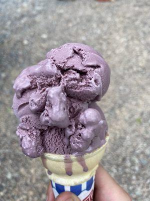 black raspberry - small in wafer cone