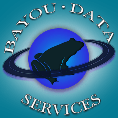 Bayou Data Services