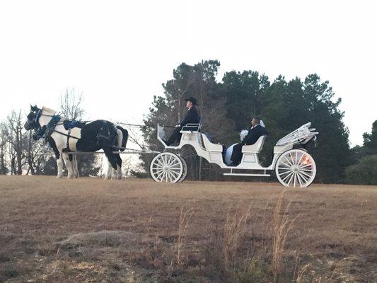 Southern Charm Carriages