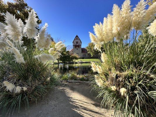 Path around the pond