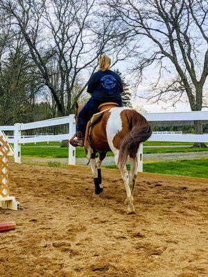 Arena footing is prime for a horse with issues such as navicular and has helped with rehabilitation.