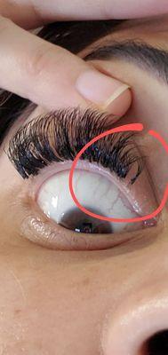 Inner circles have multiple lashes bunched & then glued with a clump of extentions. It's supposed to be 1 extension to each lash....