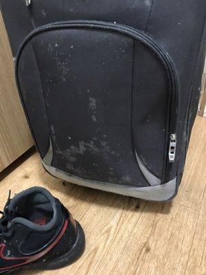 Mold my stuff is ruined!!!!