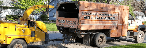 Twin City Tree Service