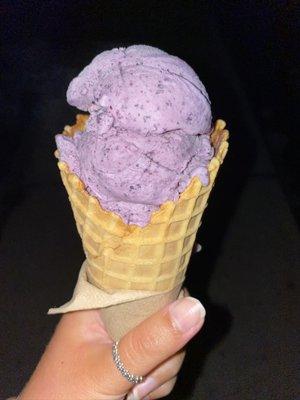 Wild Maine blueberry ice cream