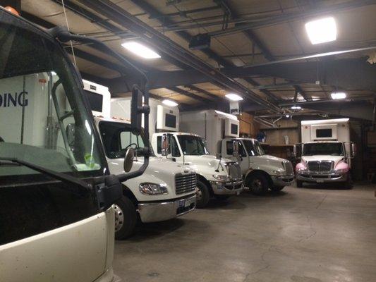 Fleet of Shredding Trucks