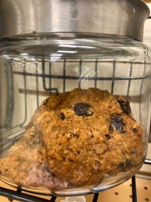 Oatmeal raisin in aisle 4A at the cheesecake stop don't forget to pass by