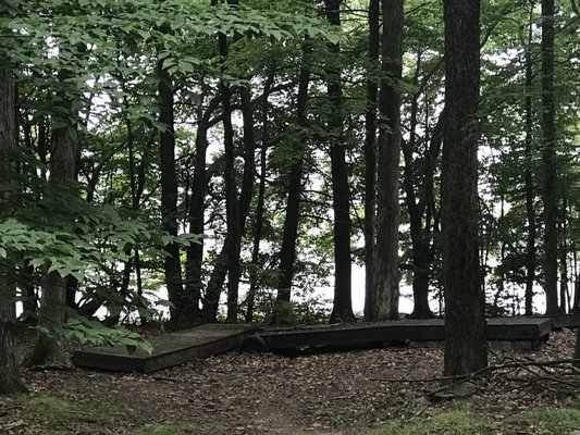 Abandoned dock on one of the trails.