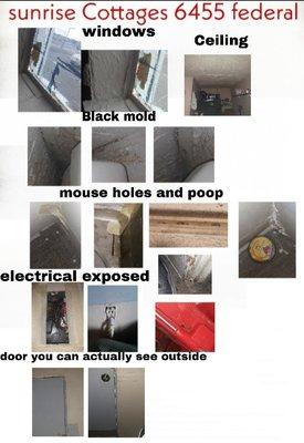 Shows all the issues mice mice dropping electrical holes covered all over to keep mice out they just eat through mice poop all on top frig.