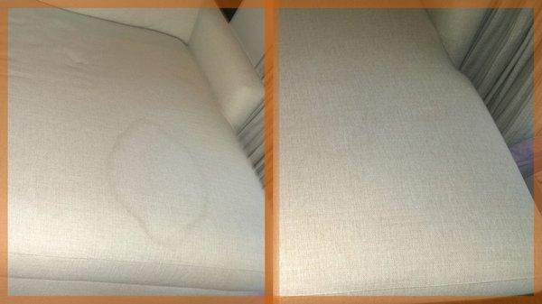 Uh oh... accidents can happen. We have a special urine treatment for cloth upholstery at no extra charge.