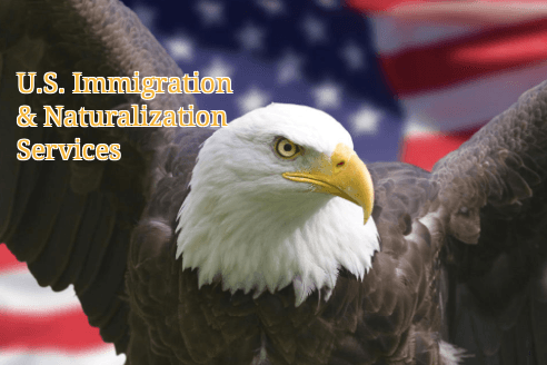 Michigan Immigration Lawyer