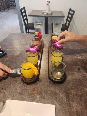 Mimosa flights